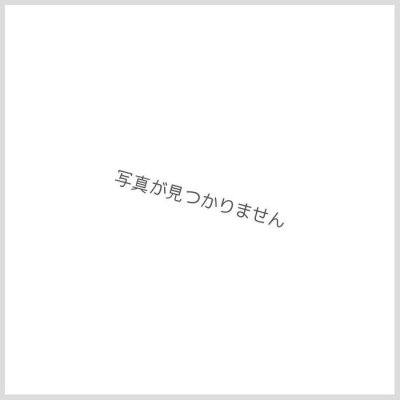 炎機混成ボルスレン・バスター【R】{P8/Y20}《火》