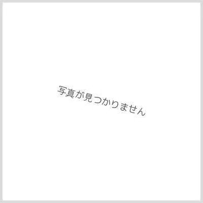 画像1: 〔状態A-〕ローダー『[GP2024-1st]GP特製フルプロテクター』【サプライ】{-}