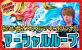 初心者オススメデッキ「マーシャルクイーン」【-】{40枚}《デッキ販売》