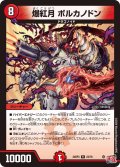 爆紅月ボルカノドン【R】{24RP323/76}《火》