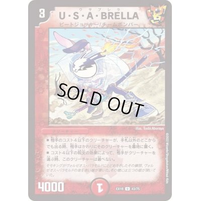 画像1: 〔状態B〕U・S・A・BRELLA【U】{EX1843/75}《火》